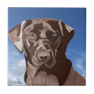 Chocolate Brown Labrador mot blå himmel Kakelplatta