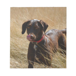 Chocolate Brown Labrador Retriever Anteckningsblock