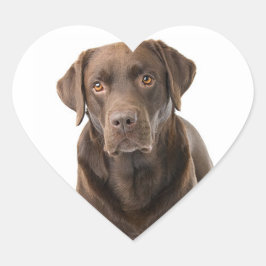 Chocolate Brown Labrador Retriever Puppy Hund Hear Hjärtformat Klistermärke