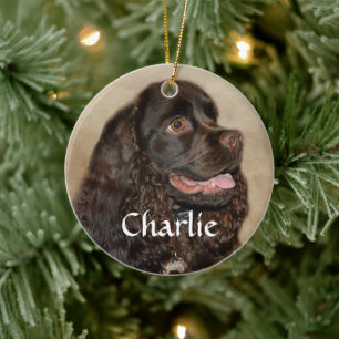 Chocolate Cocker Spain Ornament
