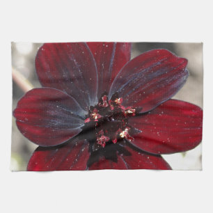 Chocolate Cosmos Flower Kökshandduk