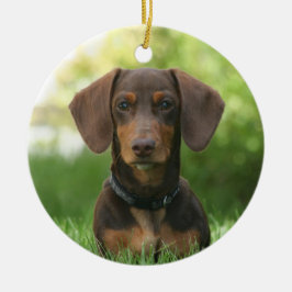 Chocolate Dachshund Doxie Hund Julgransprydnad Keramik
