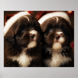 Chocolate HavaHug Havanese jul Puppy Puzzle Poster