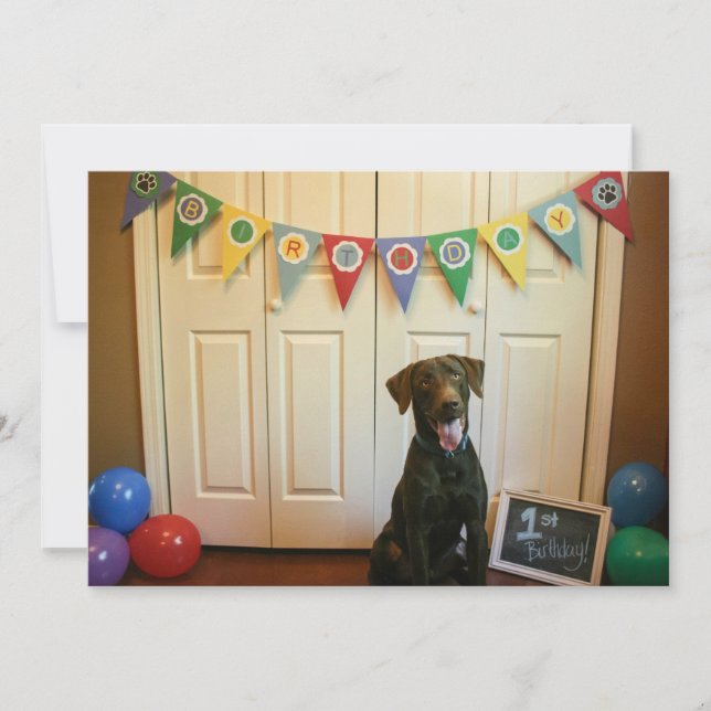 Chocolate Lab 1:a födelsedagsinbjudan Inbjudningar (Framsida)