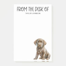 Chocolate Lab Älskare