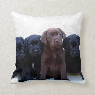 Chocolate Lab - Black Labrador Puppies Kudde