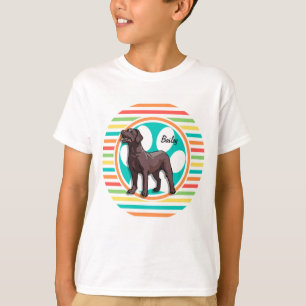 Chocolate Lab, Bright Rainbow Rand T Shirt