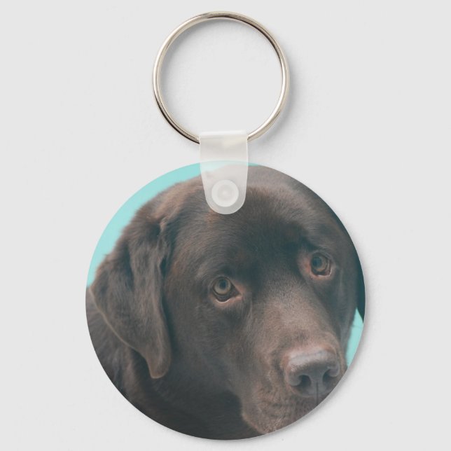 Chocolate Lab Hund Keychain Nyckelring (Framsida)