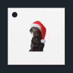 Chocolate Lab Hund Porträtt Santa Hat Cute Christm Gåvor Etiketter<br><div class="desc">Chocolate Lab Porträtt Santa Hat Cute Juli Labrador Hund</div>