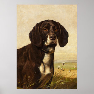 Chocolate Lab Hund, Vintage affisch