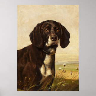 Chocolate Lab Hund, Vintage affisch