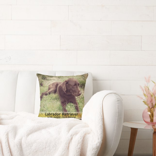 Chocolate Lab i California Poppy Patch Photograph Kudde (Soffa)