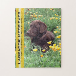 Chocolate Lab i California Poppy Patch Pussel
