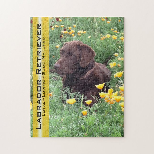 Chocolate Lab i California Poppy Patch Pussel (Vertikal)