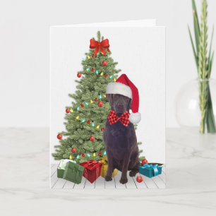 Chocolate Lab-jul Kort