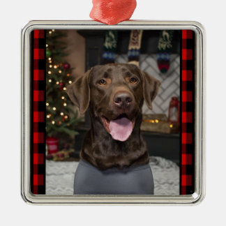 Chocolate Lab jul Ornament