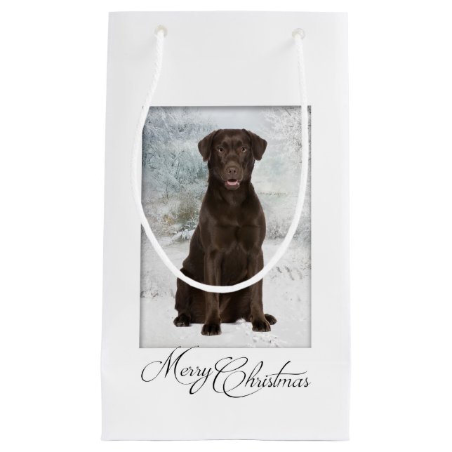 Chocolate Lab-julklapp (Framsidan)