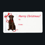 Chocolate Lab-julklapp Fraktsedel<br><div class="desc">De här berömvärda chokladdegen Labrador Retriever-julklämparna är en matchande perfekt för vårt Chocolate Lab Gift Wrap.</div>