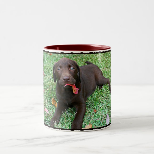 Chocolate Lab-kaffe Mugg (Center)