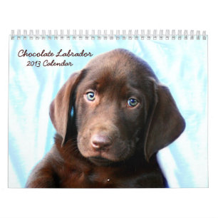 Chocolate Lab-kalender Kalender