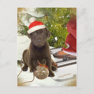 Chocolate Lab Kärlek julkort Helg Vykort