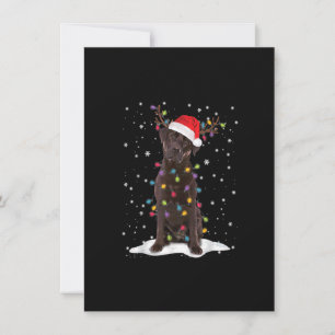 Chocolate Lab Labrador Julgran Light Pajama Inbjudningar