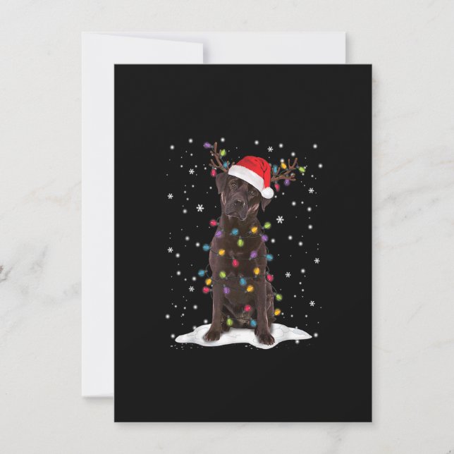 Chocolate Lab Labrador Julgran Light Pajama Inbjudningar (Framsida)