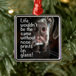 Chocolate Lab Nose Close Photographic Julgransprydnad Metall