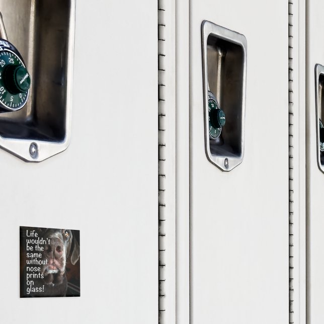 Chocolate Lab Nose Close Photographic Magnet (In Situ (Locker))