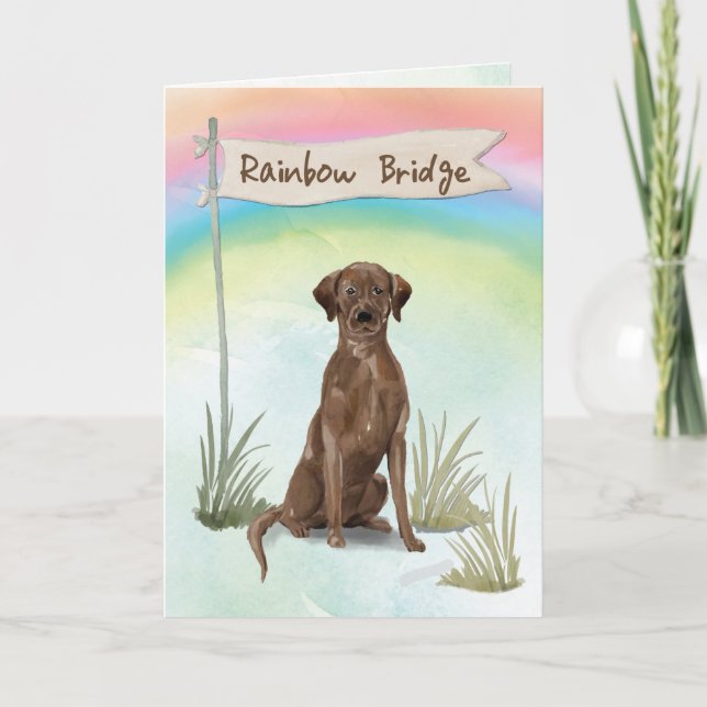 Chocolate Lab Pet Sympathy over Rainbow Bridge Kort (Framsida)