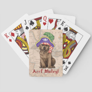 Chocolate Lab Pirat Casinokort