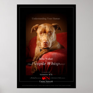 Chocolate Lab Pit Mix Hund Movie Poster
