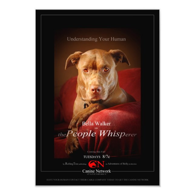 Chocolate Lab Pit Mix Hund Movie Poster (Framsidan)