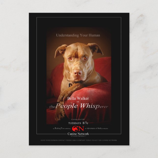 Chocolate Lab Pit Mix Hund Movie Poster Vykort (Framsida)