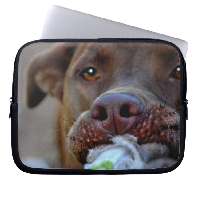 Chocolate Lab Pit Puppy Tugger Laptop Sleeve (Framsidan)