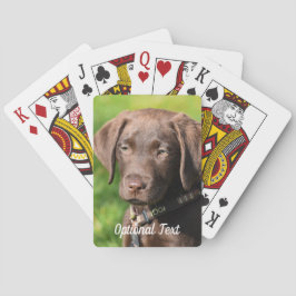 Chocolate Lab Puppy Hund Casinokort