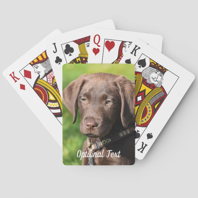 Chocolate Lab Puppy Hund Casinokort (Baksidan)