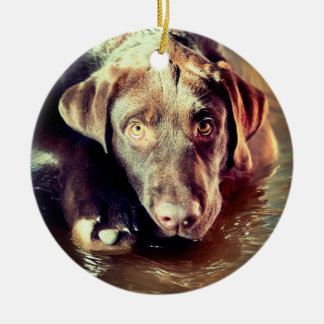 Chocolate Lab Puppy Julgransprydnad Keramik