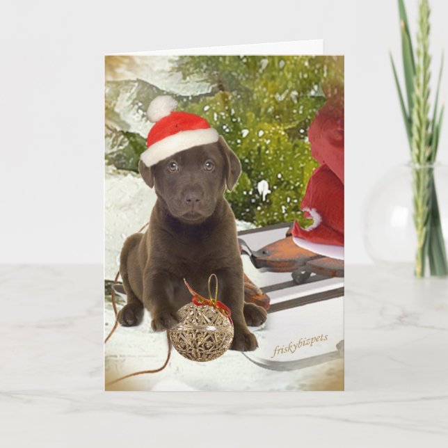 Chocolate Lab Puppy-julkort Helgkort (Framsida)