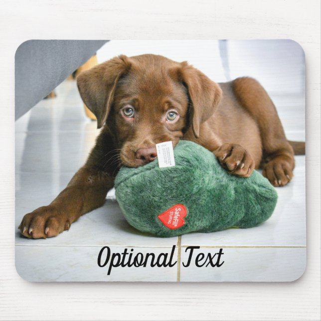 Chocolate Lab Puppy med Leksak Musmatta (Framsidan)