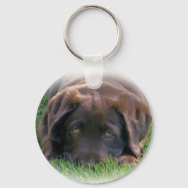 Chocolate Lab Puppy Nyckelring