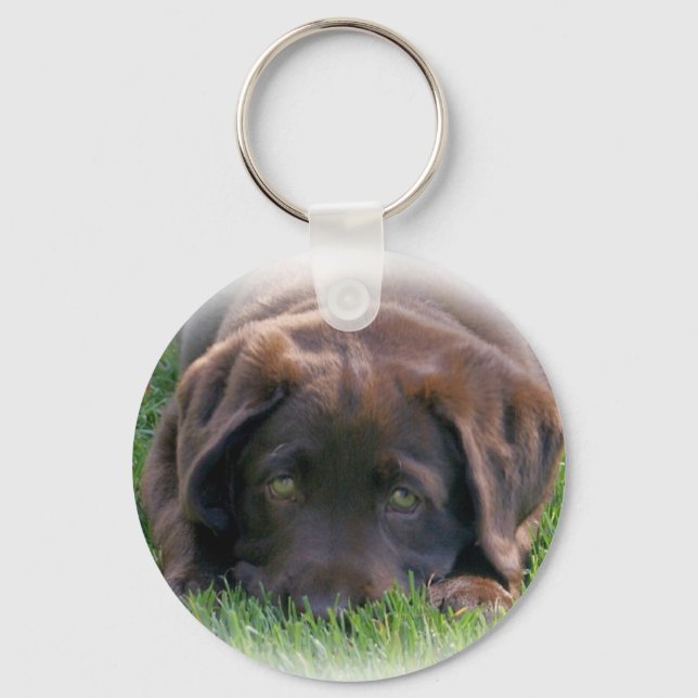 Chocolate Lab Puppy Nyckelring (Framsida)