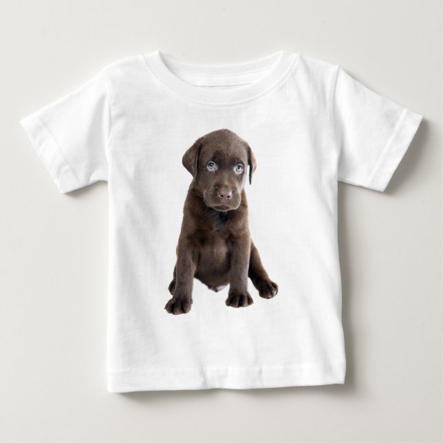 Chocolate Lab Puppy Tröja (Framsida)
