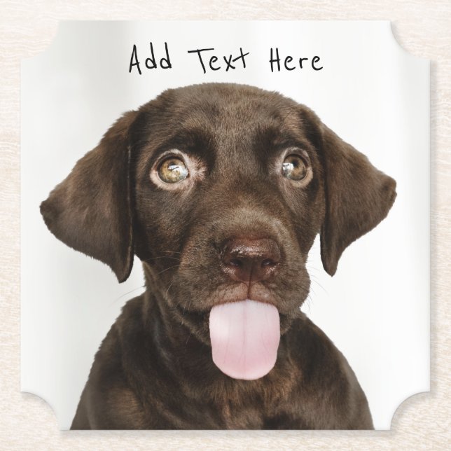 Chocolate Lab Puppy Underlägg Papper (Framsida)