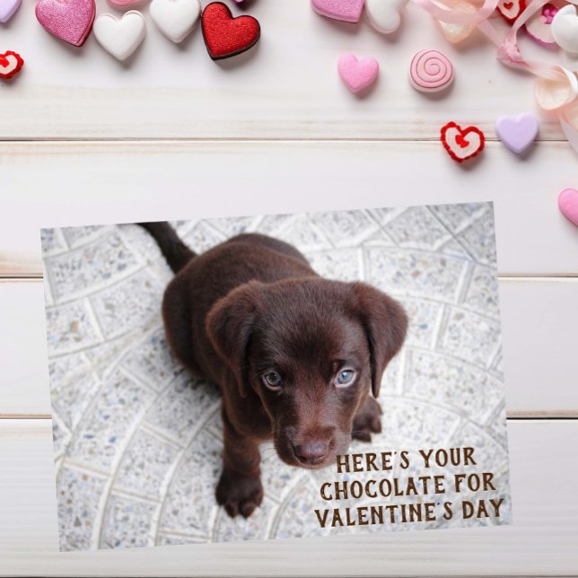 Chocolate Lab Puppy Valentindags minneskort Hälsningskort (Skapare uppladdad)