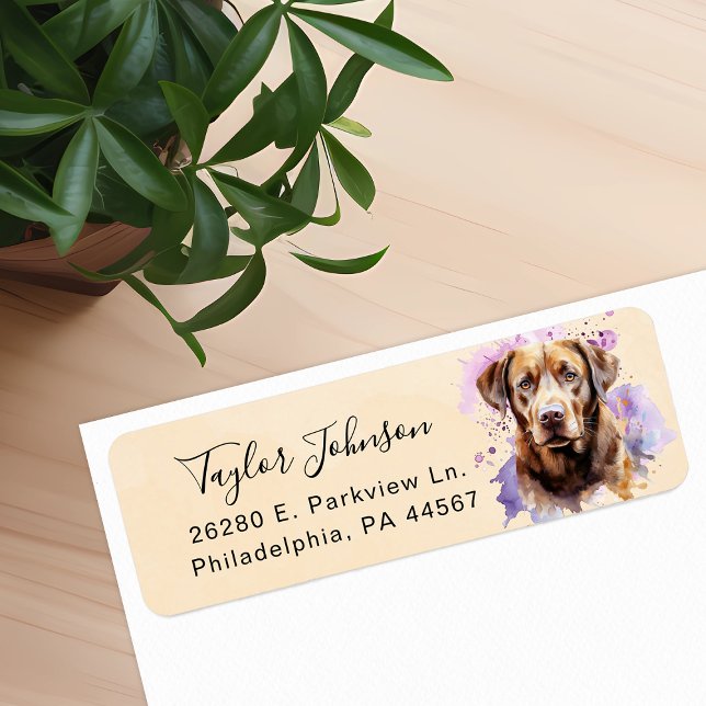 Chocolate Lab Returadressetikett Returadress Etikett (Skapare uppladdad)