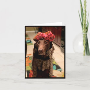 Chocolate lab-skönhet kort