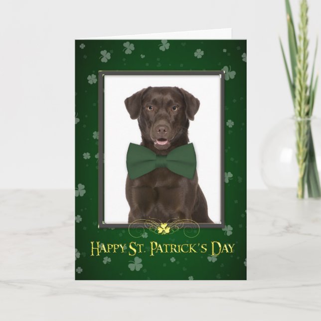 Chocolate Lab St. Patrick's Day Card Kort (Framsida)