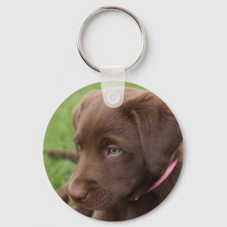 Chocolate Lab Valp Keychain Nyckelring