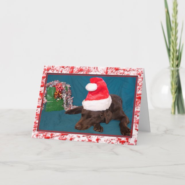 Chocolate Lab Wearing Santa Hat-foto Helgkort (Framsida)